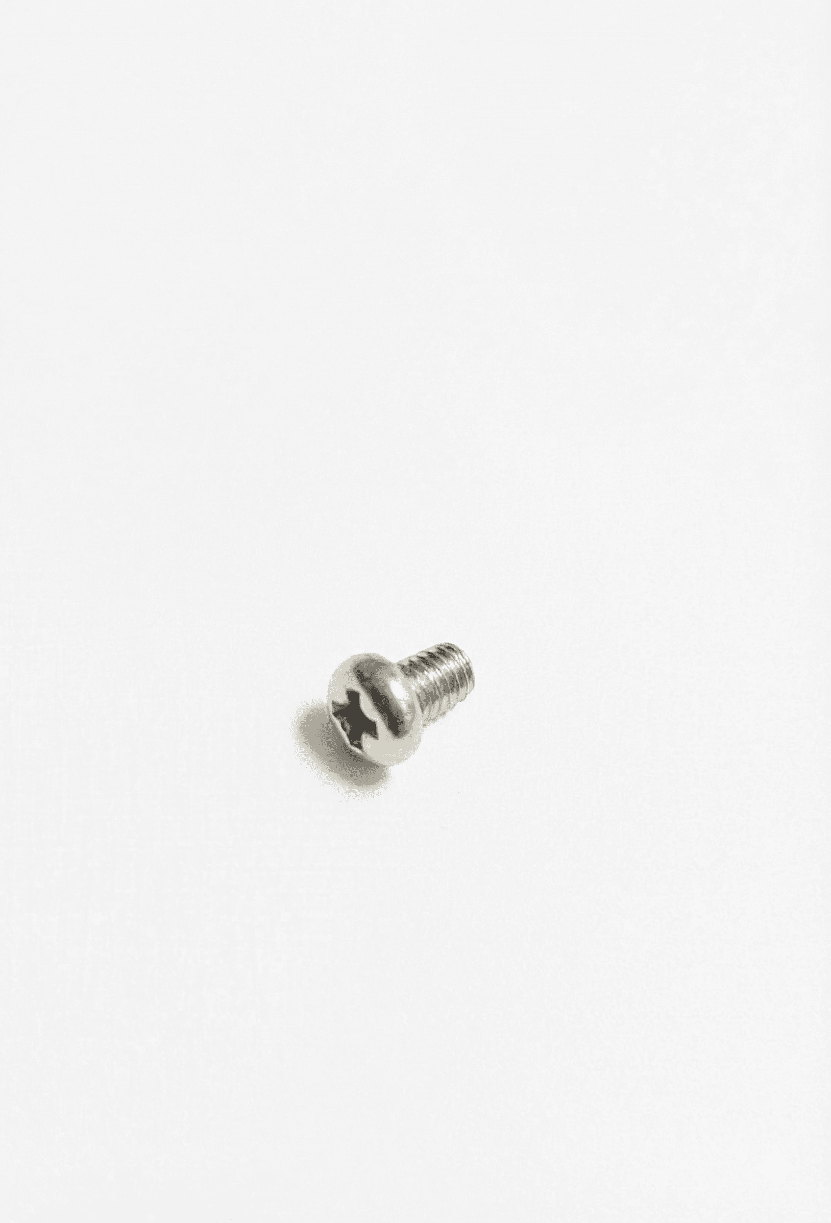 TORNILLO DIÁMETRO 4MM X DIÁMETRO 2.5MM DO2